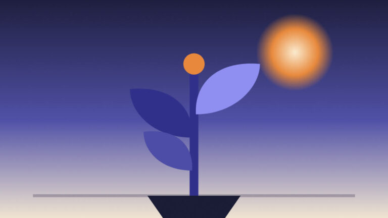 Planta creciendo en una maceta hacia el sol